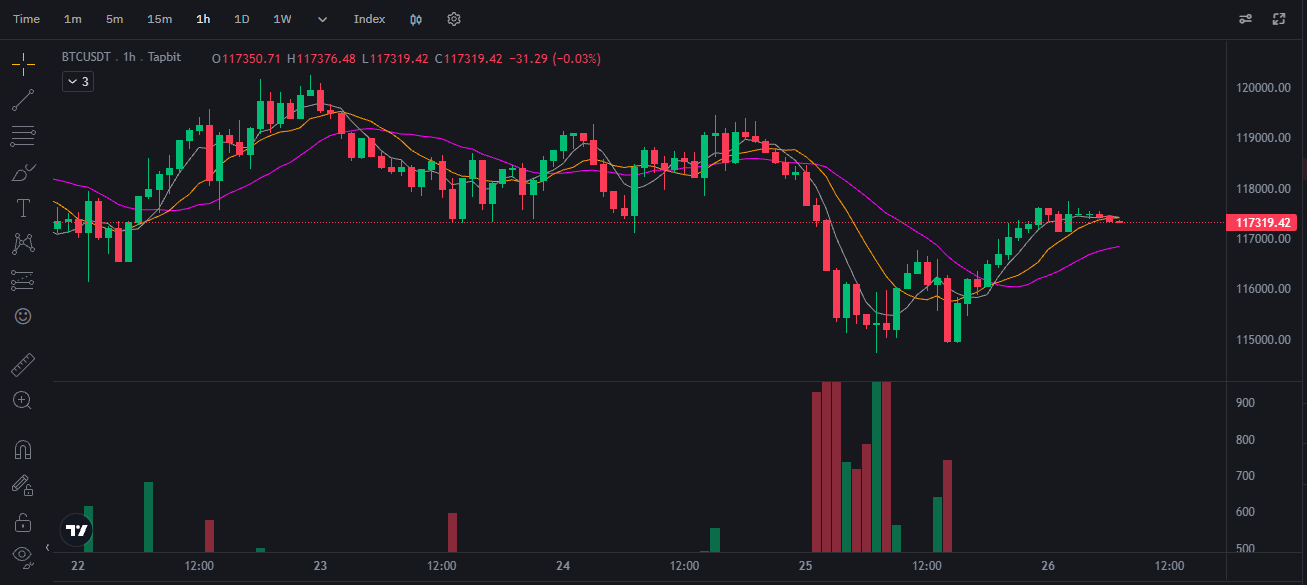 Tapbit BTC/USDT Spot Trading Chart